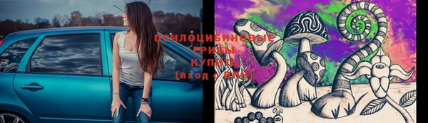 прущие крисы Аркадак