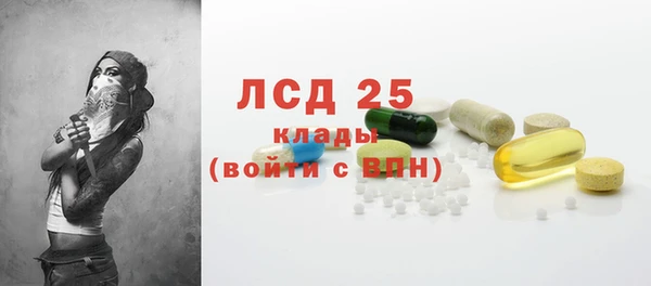 прущие крисы Аркадак