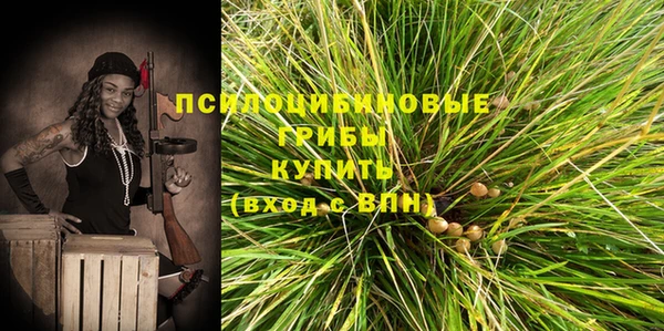метадон Арсеньев