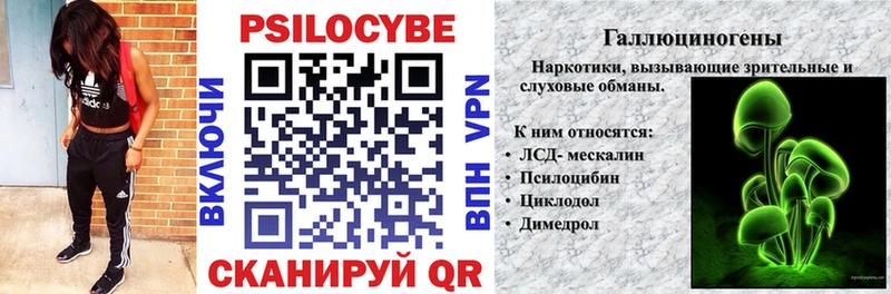 Псилоцибиновые грибы Cubensis  Фатеж 