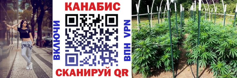 как найти закладки  Фатеж  Каннабис THC 21% 